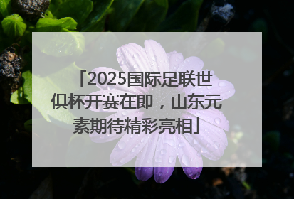 2025国际足联世俱杯开赛在即，山东元素期待精彩亮相