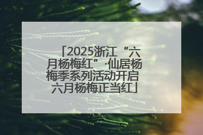 2025浙江“六月杨梅红”·仙居杨梅季系列活动开启 六月杨梅正当红