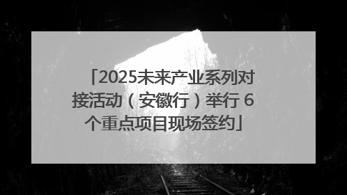 2025未来产业系列对接活动（安徽行）举行 6个重点项目现场签约
