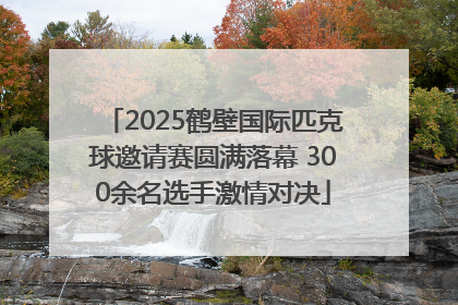 2025鹤壁国际匹克球邀请赛圆满落幕 300余名选手激情对决