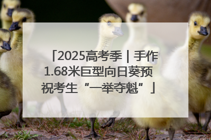 2025高考季｜手作1.68米巨型向日葵预祝考生“一举夺魁”