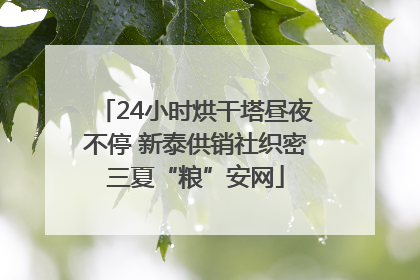 24小时烘干塔昼夜不停 新泰供销社织密三夏“粮”安网