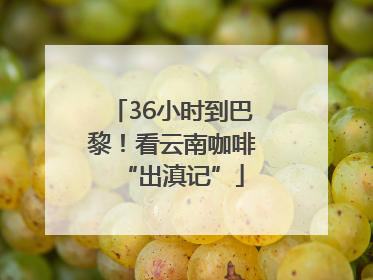 36小时到巴黎！看云南咖啡“出滇记”