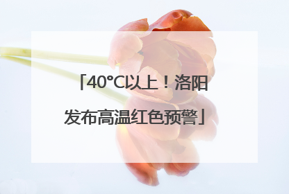 40°C以上！洛阳发布高温红色预警