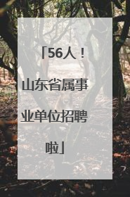 56人！山东省属事业单位招聘啦