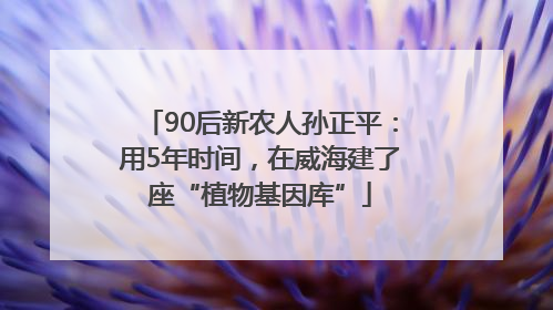 90后新农人孙正平：用5年时间，在威海建了座“植物基因库”