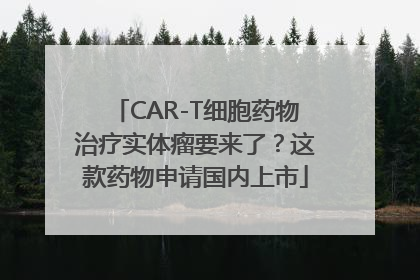 CAR-T细胞药物治疗实体瘤要来了？这款药物申请国内上市