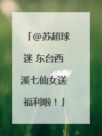 @苏超球迷 东台西溪七仙女送福利啦！