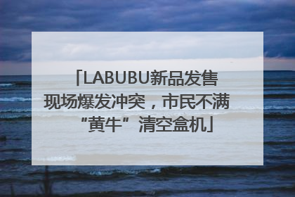 LABUBU新品发售现场爆发冲突，市民不满“黄牛”清空盒机