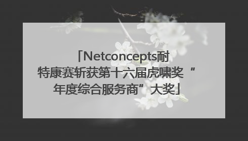 Netconcepts耐特康赛斩获第十六届虎啸奖“年度综合服务商”大奖