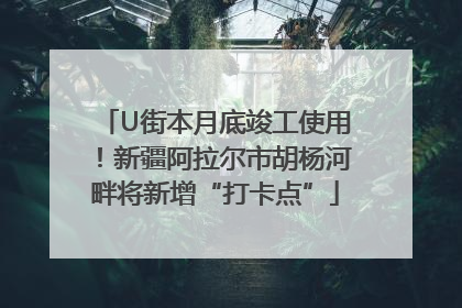 U街本月底竣工使用！新疆阿拉尔市胡杨河畔将新增“打卡点”